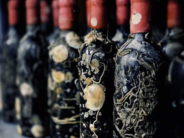 They want to age wine in the ocean off Santa Barbara — environmentalists aren't ready to say 'cheers' - Vimarsana News